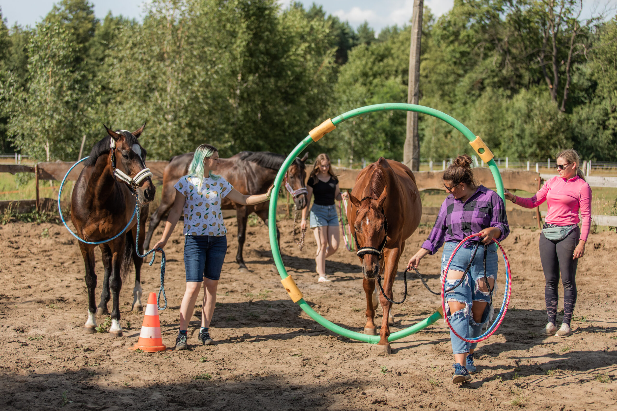 Praca z koniem w ramach Horse Assisted Education w Polsce