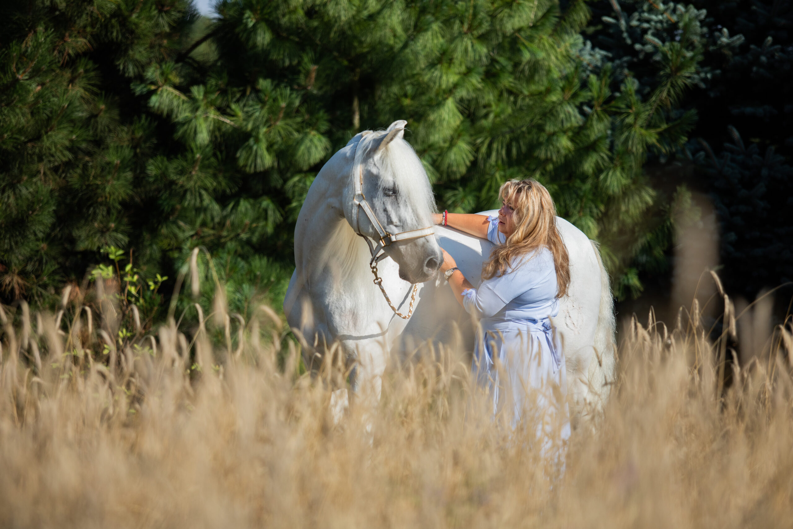 Koń jako partner w procesie edukacyjno-rozwojowym Horse Assisted Education