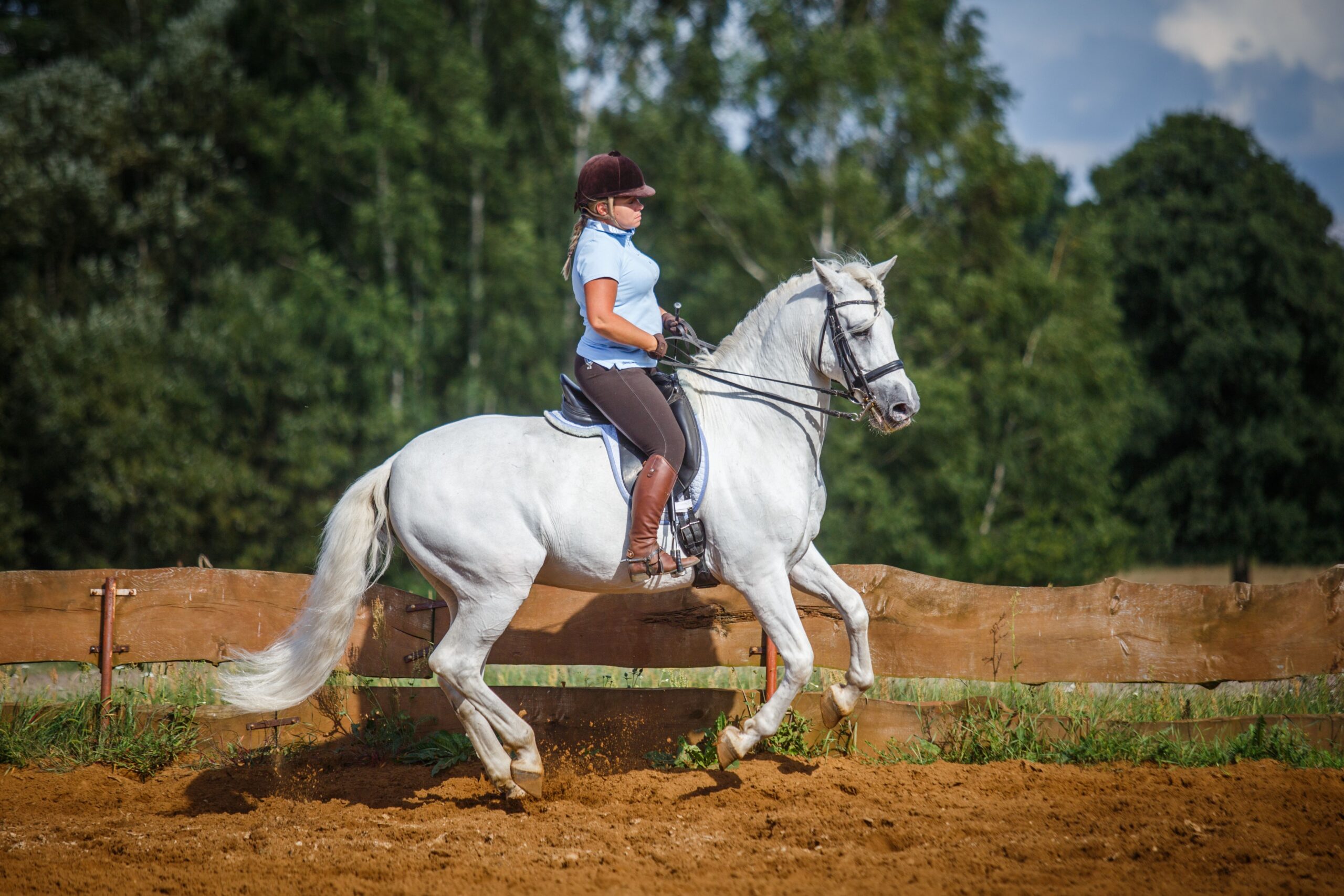 ksenia i helio 2016