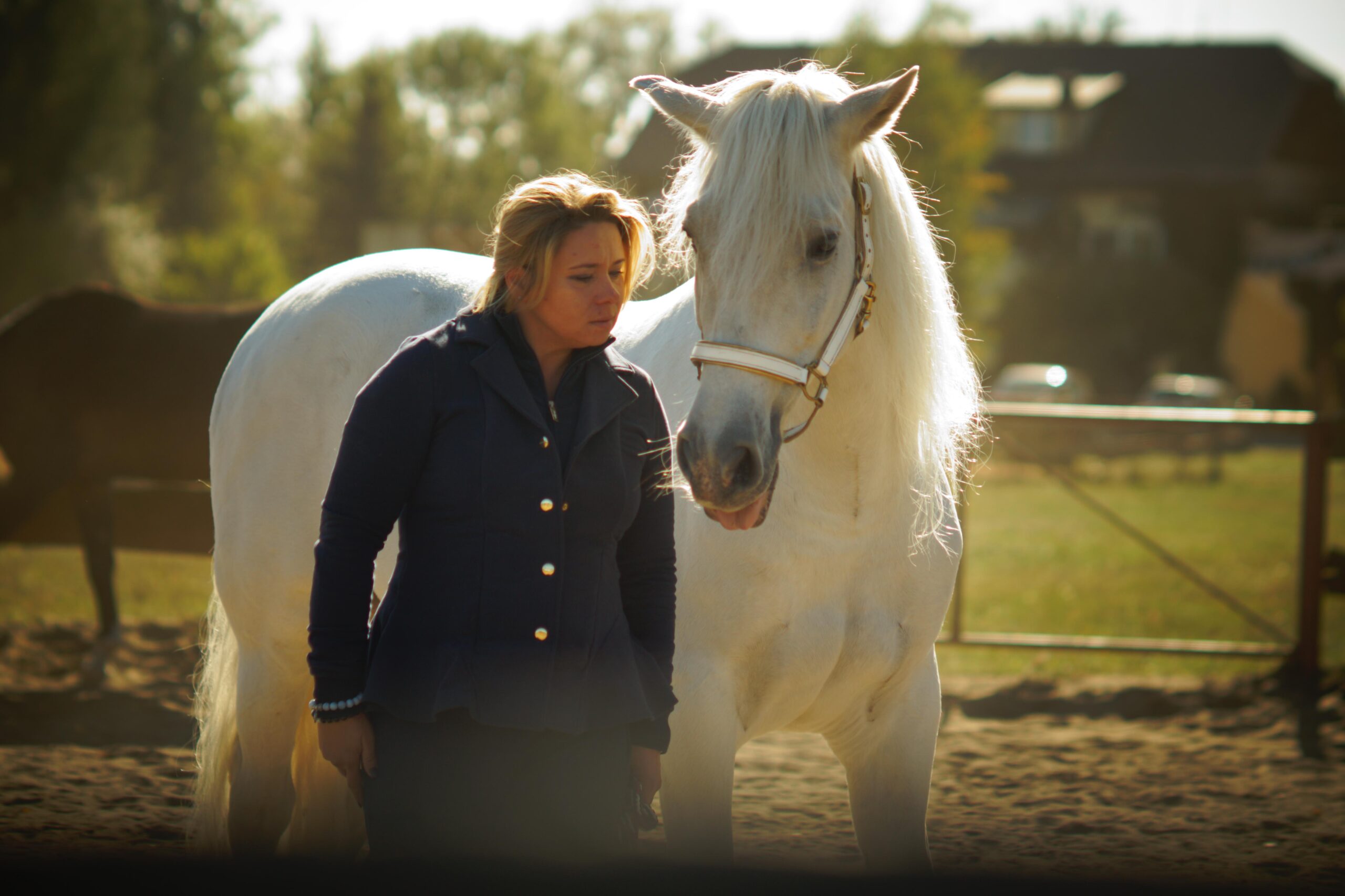 Kontakt człowieka z koniem podczas pracy rozwojowej Horse Assisted Education