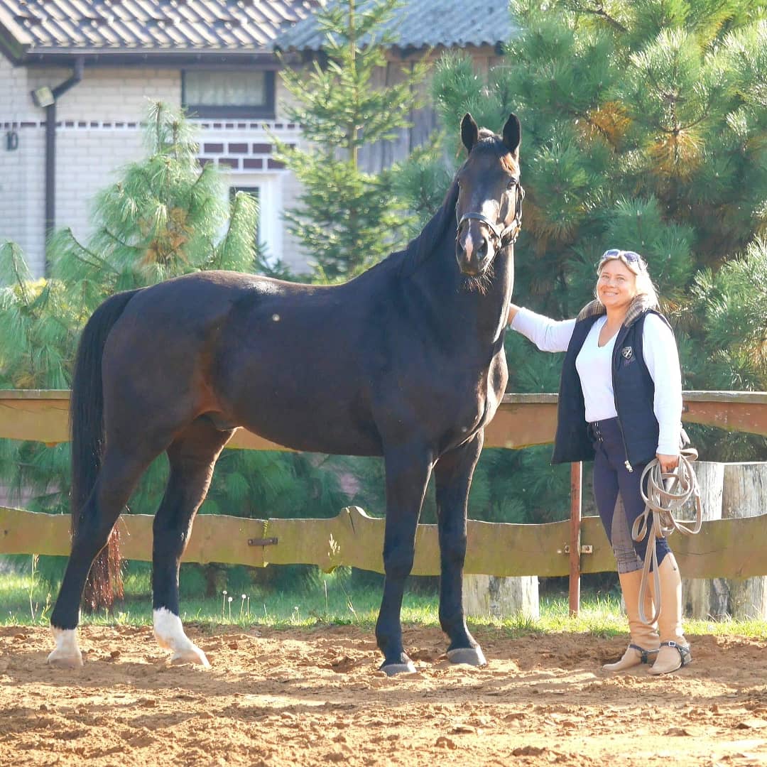 Uczestnicy warsztatów Horse Assisted Education pracujący z końmi