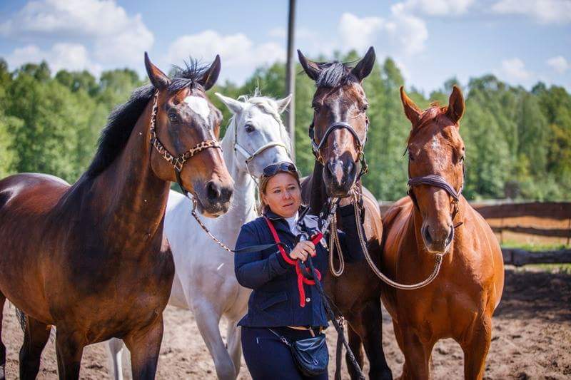 Ksenia Samsel podczas warsztatów Horse Assisted Education z końmi